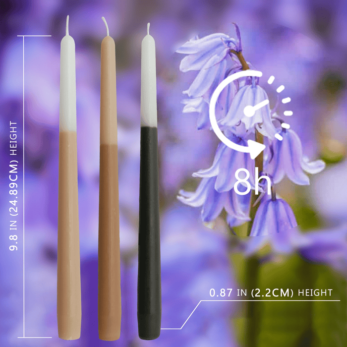 FCMSHAMD 10'' Bluebell Scented Taper Candles - Dripless (6 Pack)