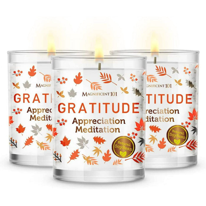 Magnificent 101 Long Lasting Set of 3 Gratitude Smudge Candles | 3.5 Oz Each - 42 Hour Burn |Soy Wax Candle for House Energy Cleansing, Meditation & Manifestation