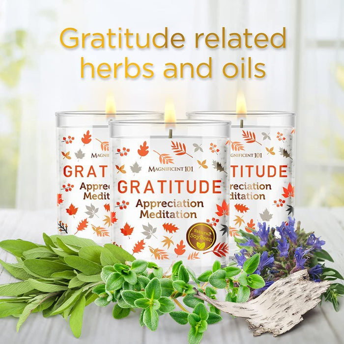 Magnificent 101 Long Lasting Set of 3 Gratitude Smudge Candles | 3.5 Oz Each - 42 Hour Burn |Soy Wax Candle for House Energy Cleansing, Meditation & Manifestation