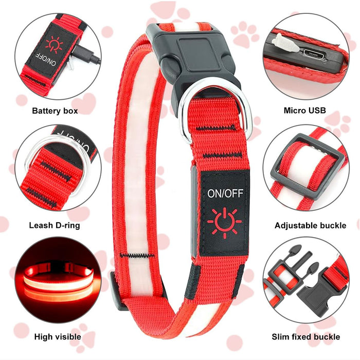 LED Dog Collar, USB Rechargeable Light Up Dog Collar, Adjustable Safety Glowing Collar for Dogs (Red, Medium)