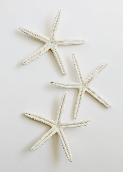 Starfish