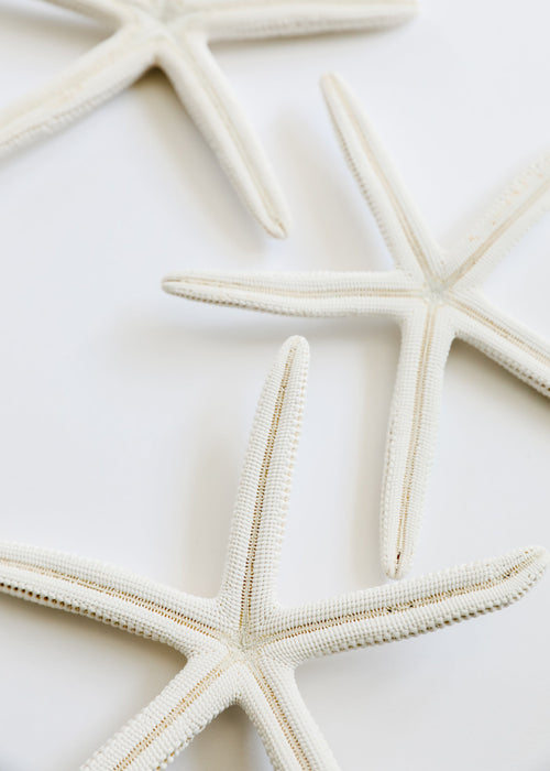 Starfish