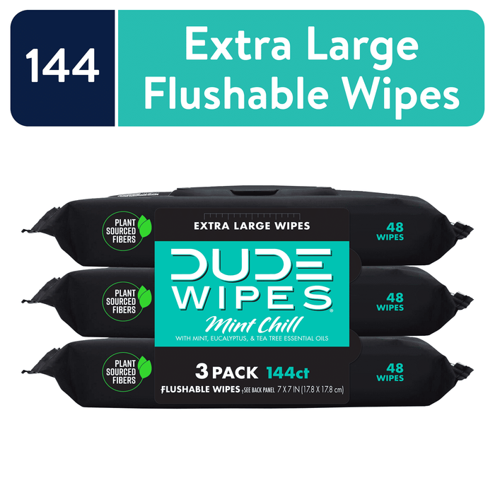 DUDE Wipes Flushable Wipes, Mint Chill XL Wet Wipes to Use with Toilet Paper, 48 Ct, 3 Pack