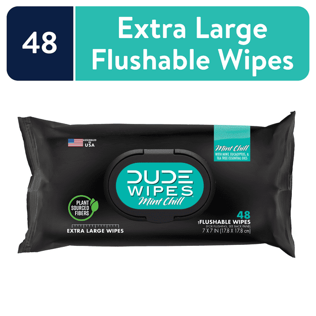 DUDE Wipes Flushable Wipes, Mint Chill XL Wet Wipes to Use with Toilet Paper, 48 Count