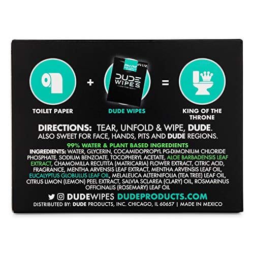 DUDE Wipes Flushable Wipes, XL On-The-Go Wet Wipes, Mint Chill, 30 Count