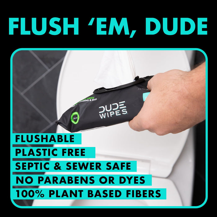 DUDE Wipes Flushable Wipes, XL Wet Wipes for At Home Use, Mint Chill, 48 Count, 5 Pack