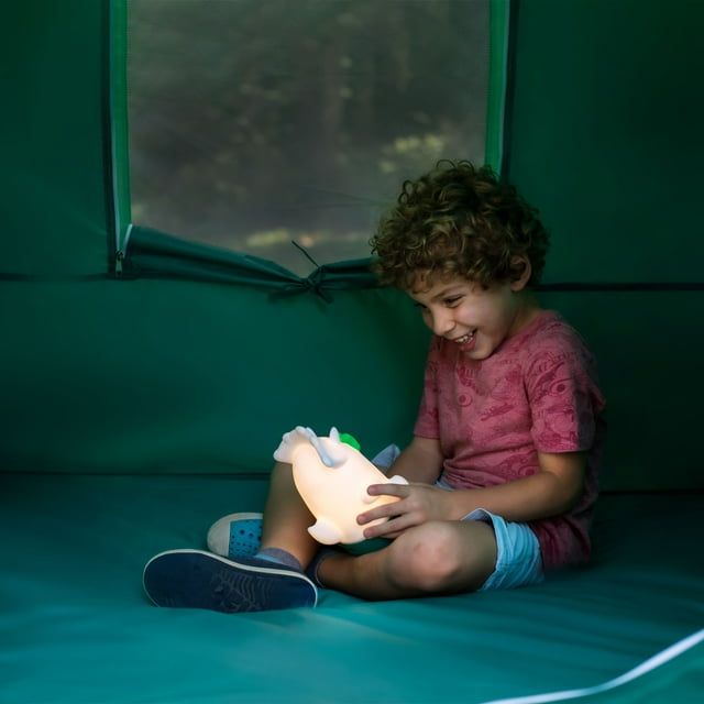 Firefly! Outdoor Gear Chip the Dinosaur 100 Lumen Battery Powdered Kid's Lantern (3 AA Batteries Not Included)