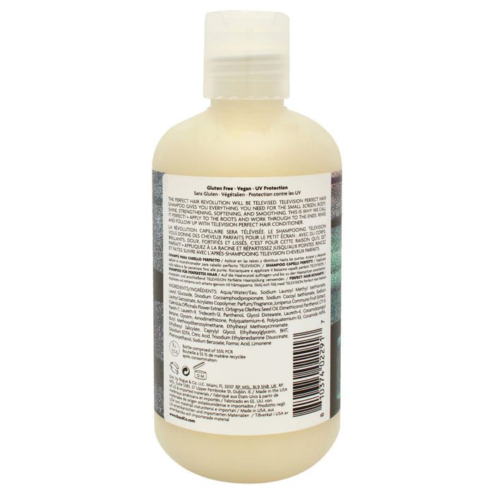 Television Perfect Hair Shampoo by R+Co for Unisex - 8.5 oz Shampoo