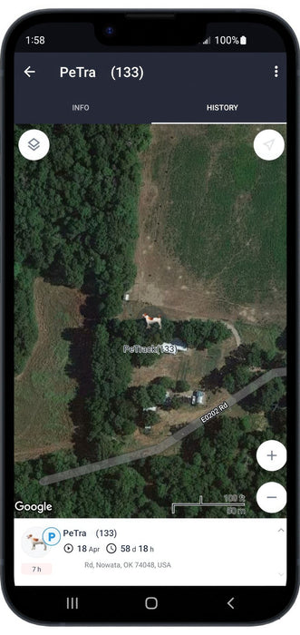 Waterproof Collar Mount Tracker Realtime GPS GSM Puppy Tracking Device Size:L