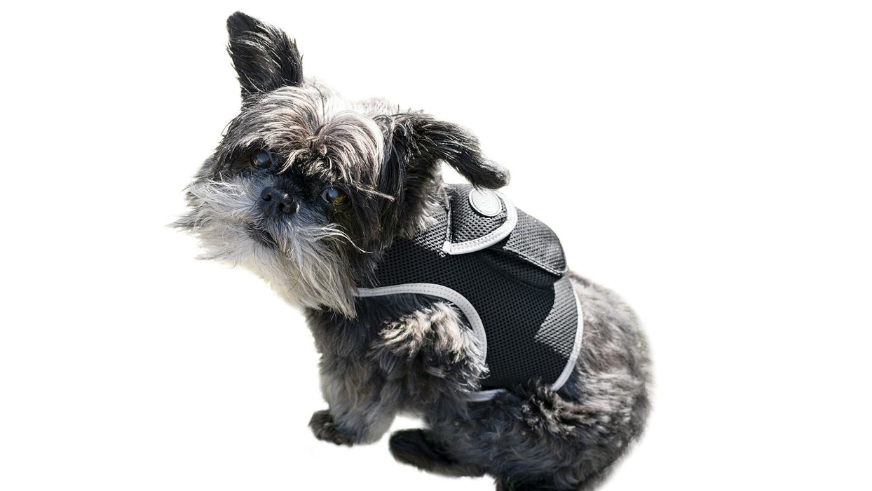 Waterproof Mini Pet Location Finder w/ Pet GPS Tracking Cell Phone App Size:M