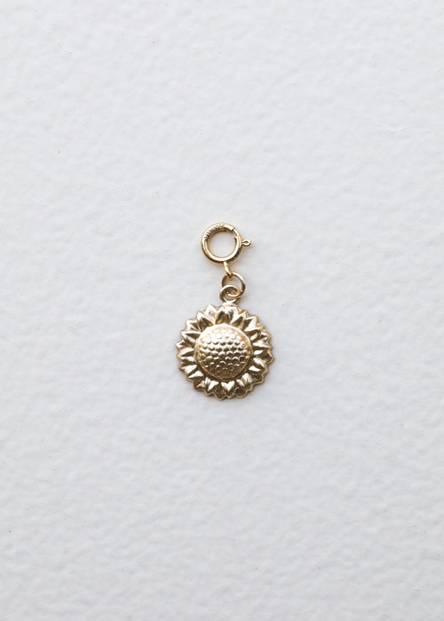 14K Gold Filled Charms